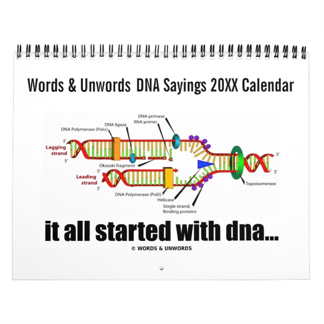 20XX DNA Sayings Calendar (DNA Replication Humor) (Cover)