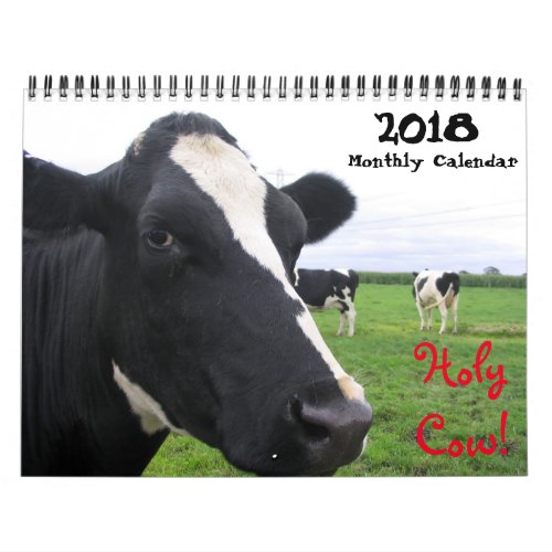 20XX Monthly Cow Wall Calendar Heifers Cattle Cows