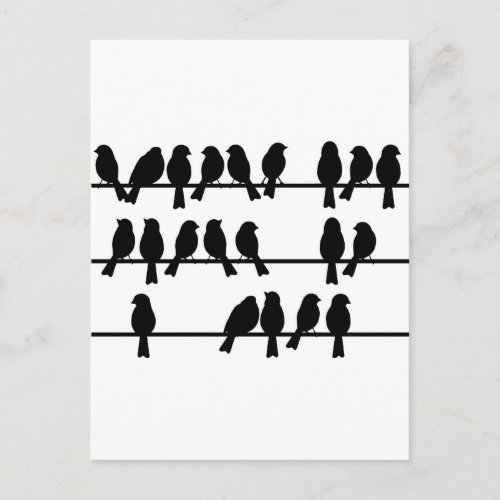 21 Birds On A Wire Postcard