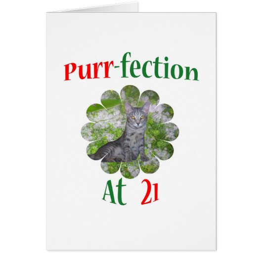 21 Purr-fection Cards (Front)
