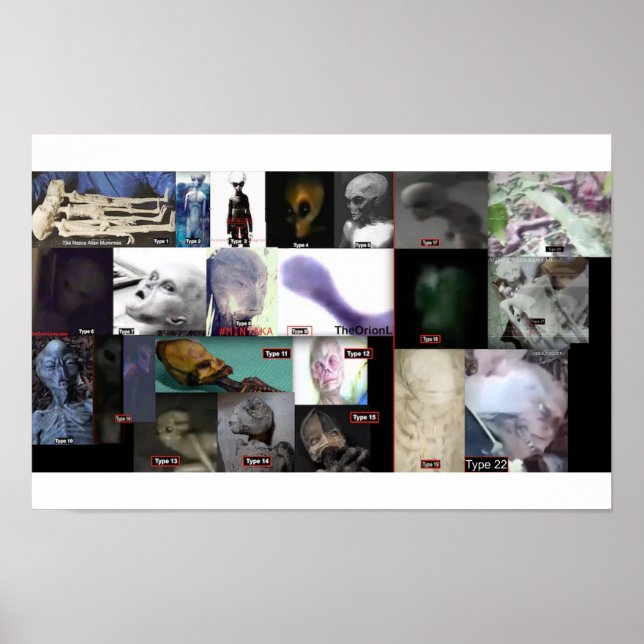 21 species real aliens  poster (Front)