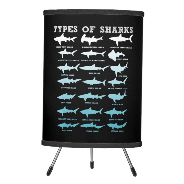 21 types of sharks marine biology tripod lamp (Front)