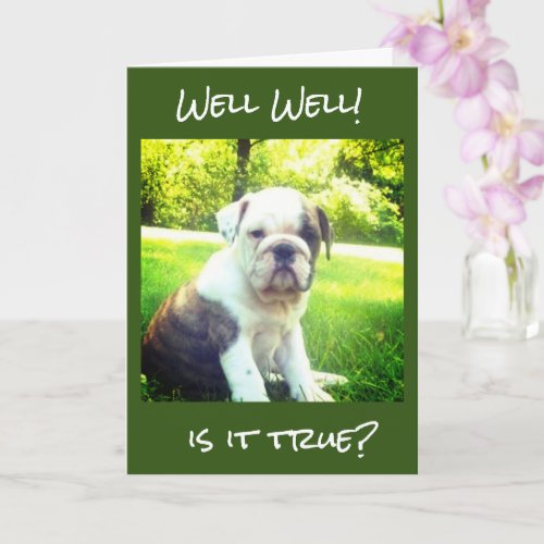 21st BIRTHDAY BULLDOG WISHES FOR YOU Card