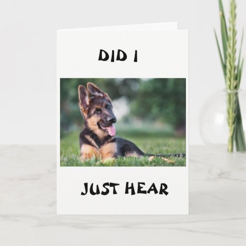 21st BIRTHDAY DOG HEARD ALL ABOUT IT Card