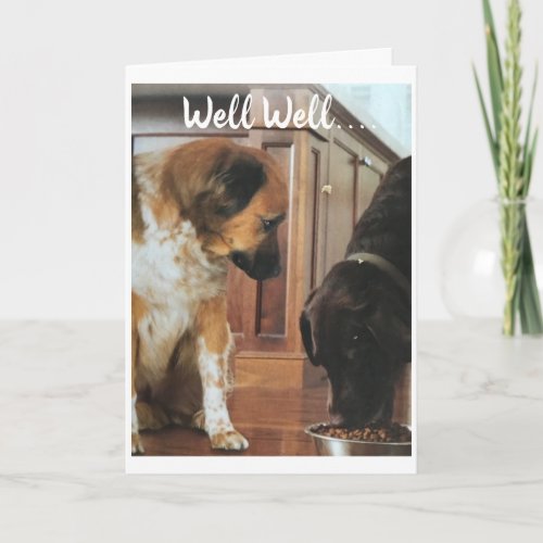 21st BIRTHDAY HUMOR FROM THE DOGS Card