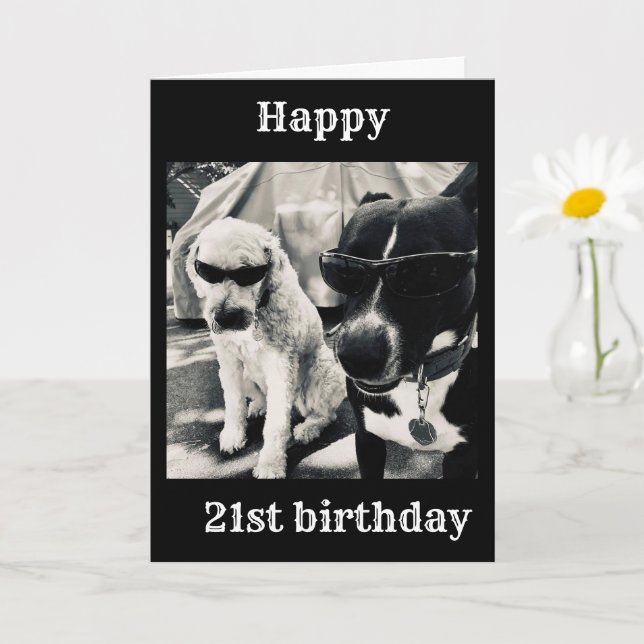 **21st BIRTHDAY IS THE "COOLEST" ONE EVER CARD (Small Plant)
