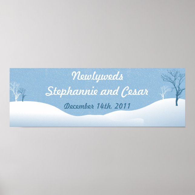 22.5"x7.5" Personalized Banner Winter Blue Christm Poster (Front)
