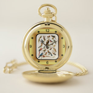 22 Species of Exotic Birds ~ L. Prang & Co ~   Pocket Watch