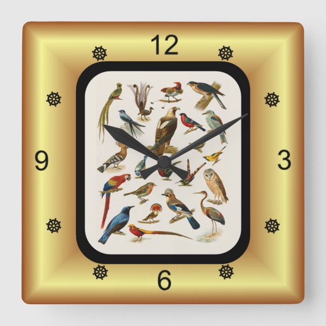 22 Species of Exotic Birds ~ L. Prang & Co.  Square Wall Clock (Front)