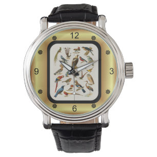 22 Species of Exotic Birds ~ L. Prang & Co ~ Watch
