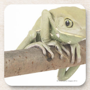 23568119 DRINK COASTER