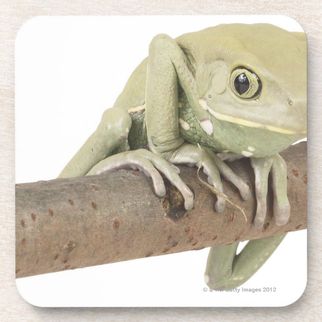 23568119 DRINK COASTER (Front)