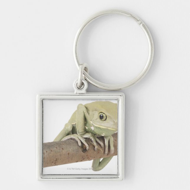 23568119 KEYCHAIN (Front)