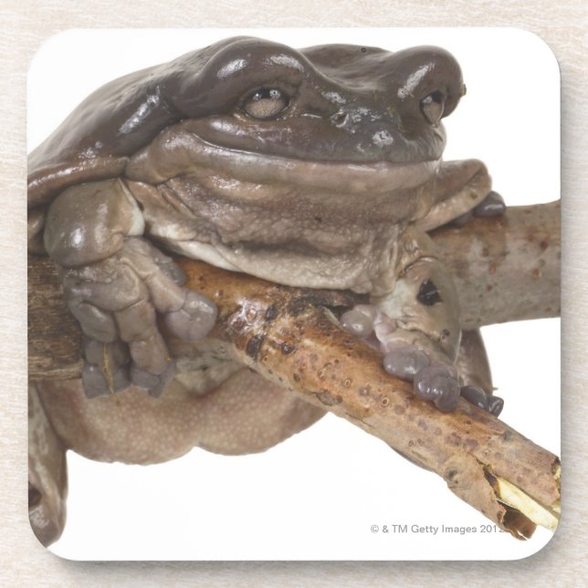 23568138 BEVERAGE COASTER (Front)