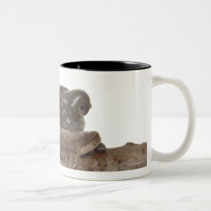 23568138 Two-Tone COFFEE MUG