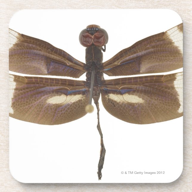 23599152 DRINK COASTER (Front)