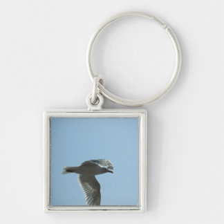 2367 KEYCHAIN