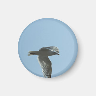 2367 MAGNET