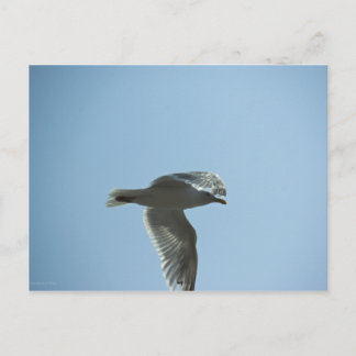 2367 POSTCARD