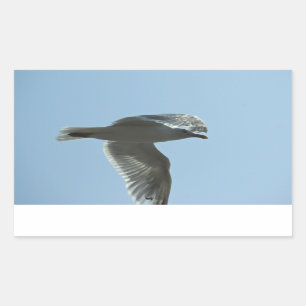 2367 RECTANGULAR STICKER