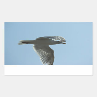 2367 RECTANGULAR STICKER