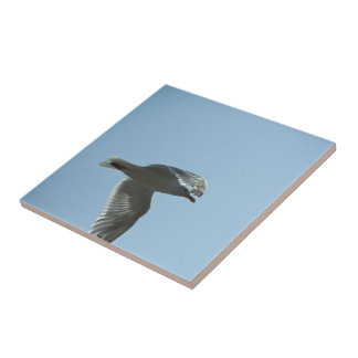 2367 TILE
