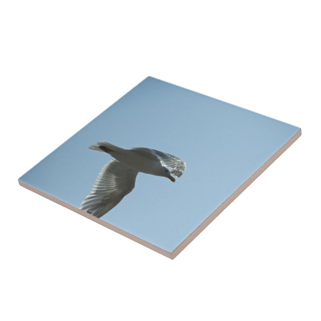 2367 TILE (Side)