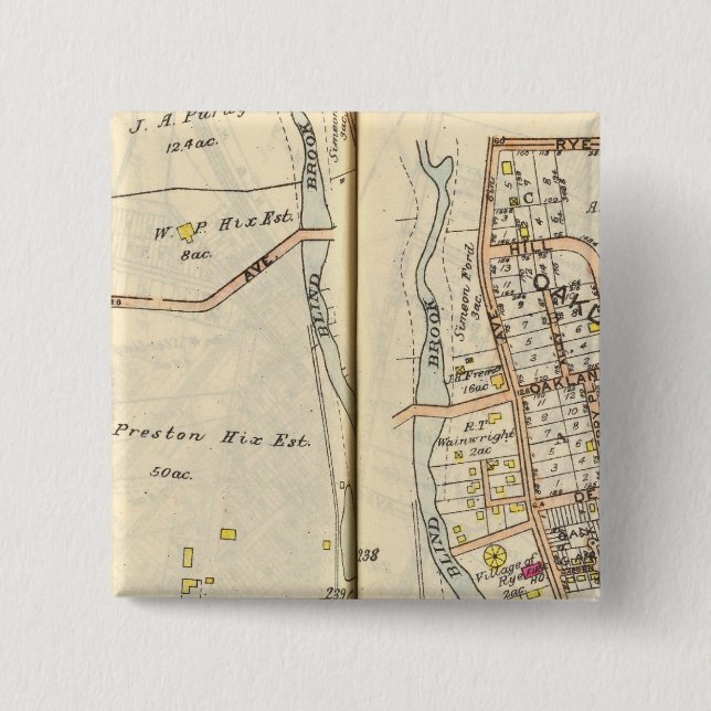 238239 Rye Pinback Button (Front)