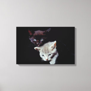 23893007 CANVAS PRINT