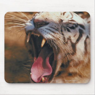 23899234 MOUSE PAD