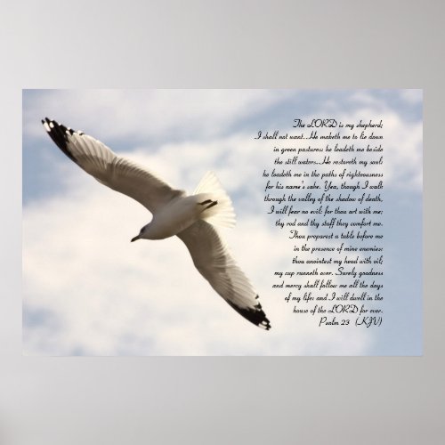 23rd Psalm Biblical Verse with Soaring Sea Gull Poster