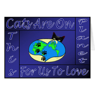 2401-LQ01-PK04 CARDS