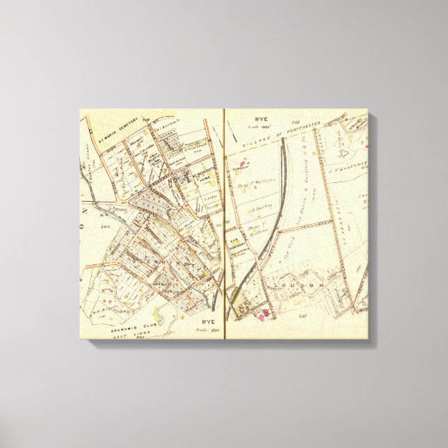 240241 Rye Canvas Print (Front)