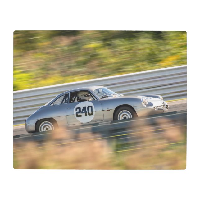  240  METAL PRINT (Front)