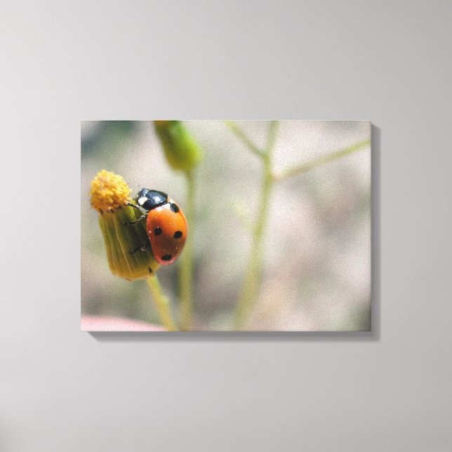 24102385 CANVAS PRINT (Front)