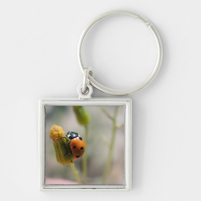 24102385 KEYCHAIN (Front)