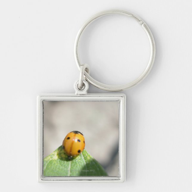 24102386 KEYCHAIN (Front)