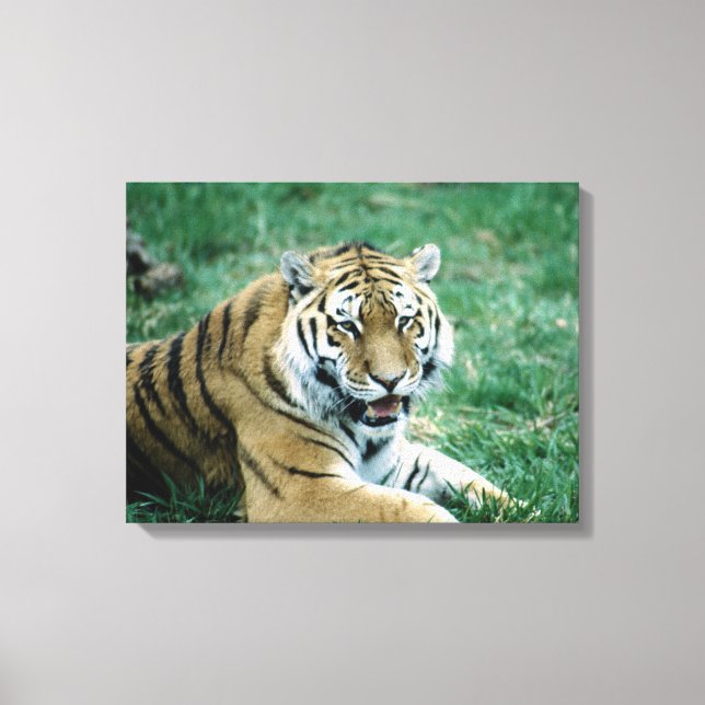 24103189 CANVAS PRINT (Front)