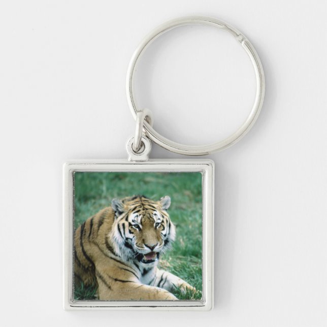 24103189 KEYCHAIN (Front)