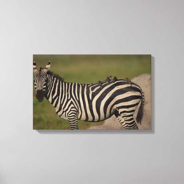 24109277 CANVAS PRINT (Front)