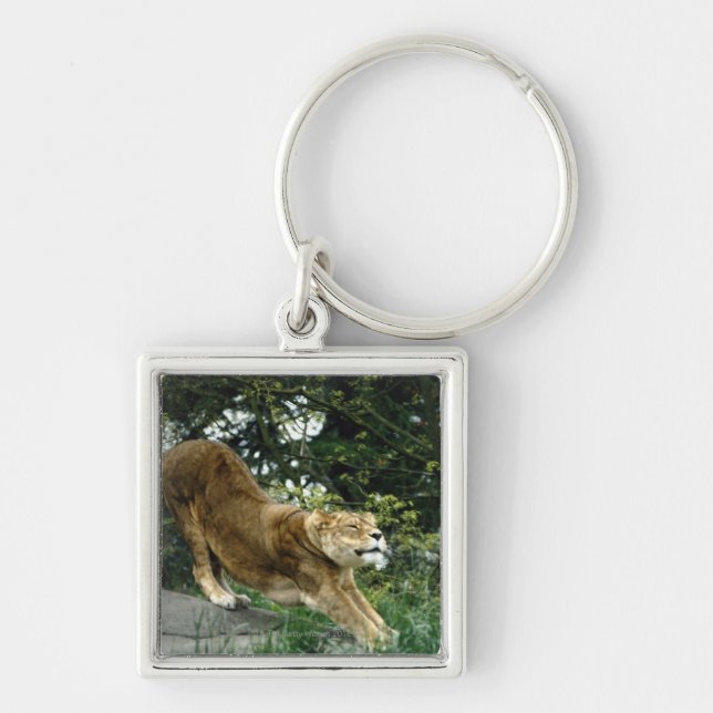 24114343 KEYCHAIN (Front)