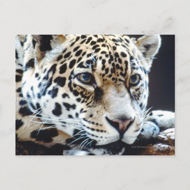 24114363 POSTCARD (Front)