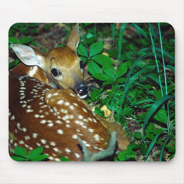 24114390 MOUSE PAD (Front)