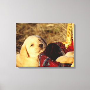 24117967 CANVAS PRINT