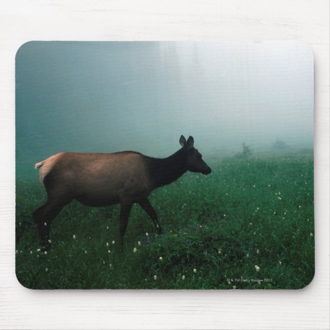 24121885 MOUSE PAD (Front)