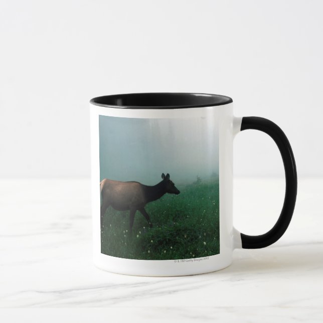 24121885 MUG (Right)