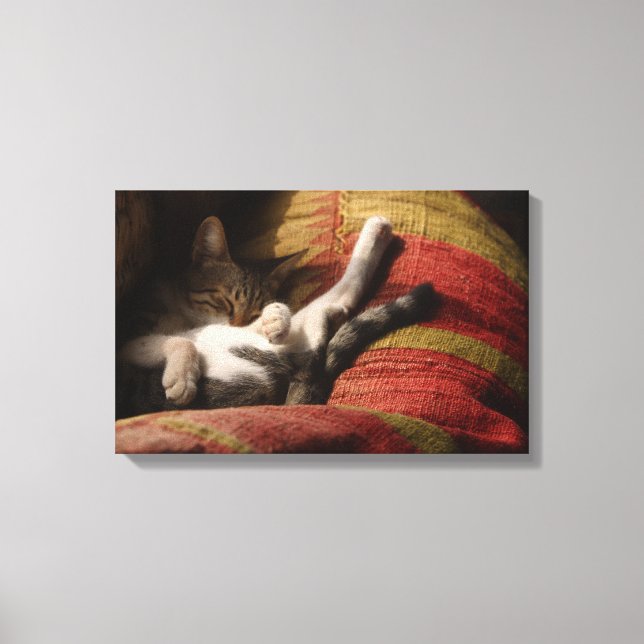 24140641 CANVAS PRINT (Front)