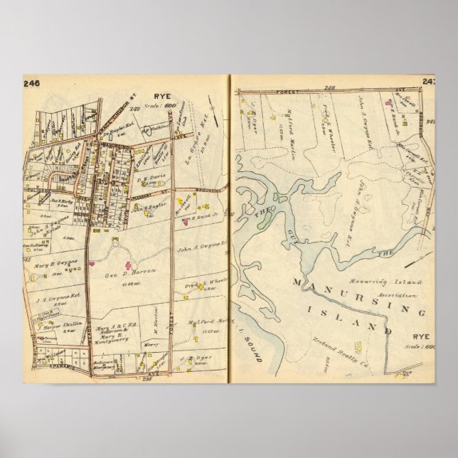 246247 Rye Poster (Front)