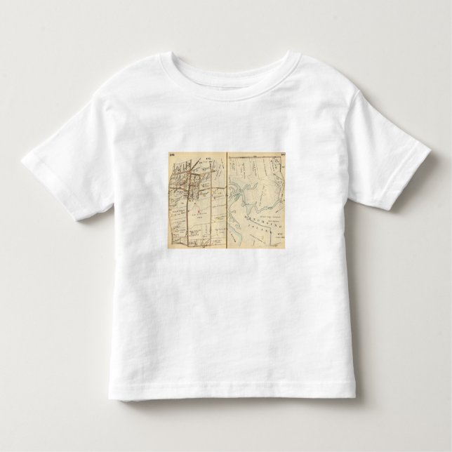 246247 Rye Toddler T-shirt (Front)