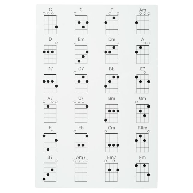 24 Common Ukulele Chords Chart - Uke Cheat Sheet P Metal Print (Front)